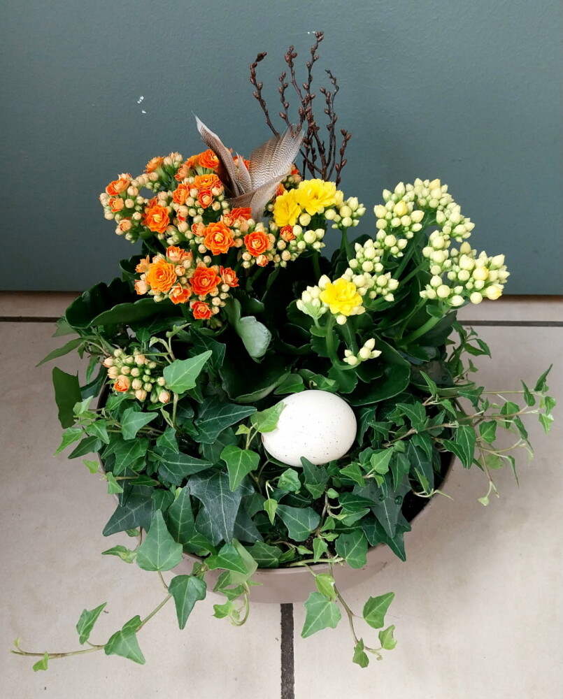 Sammenplanting (Allergivennlig)