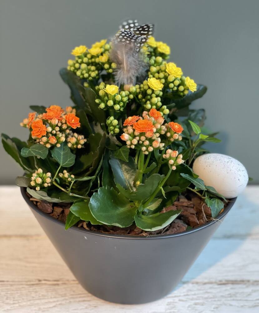 Dekorasjon med levende planter 500,-